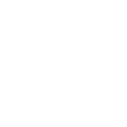 Primera A logo