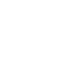 Super Cup logo