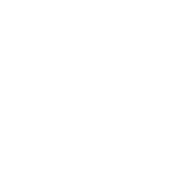 Alps Hockey League logo