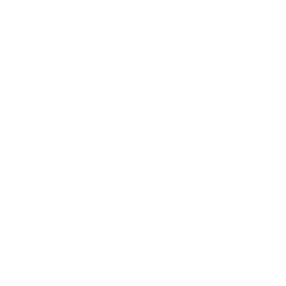 1-й дивизион logo