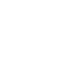 Национальная лига Юг logo