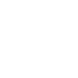 Международный кубок Премьер-лиги logo
