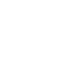 Seis Nações logo