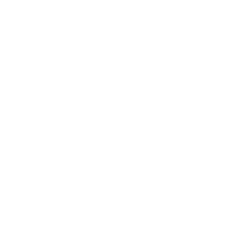 Лига Примера logo