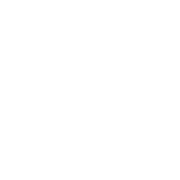 Campionato Primavera 1 logo