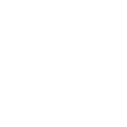 Кубок Федерации logo