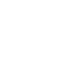 Первая Лига logo