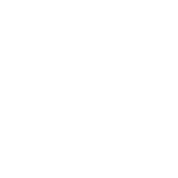 Премьер-Лига logo