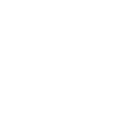 A1  logo
