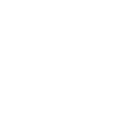 NPFL logo