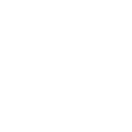 Campeonato Brasiliense logo