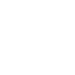 B1.League logo