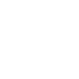 Copa logo