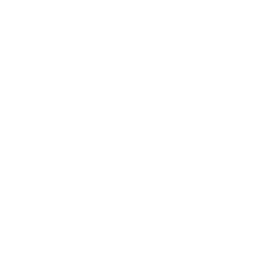 1 Дивизия logo