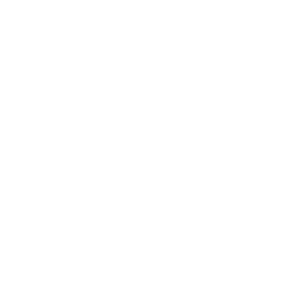 Регионаллига logo