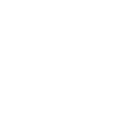 НПЛ Тасмания logo