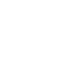 Премьер Дивизион logo