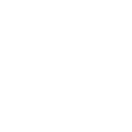 Премьер-лига logo