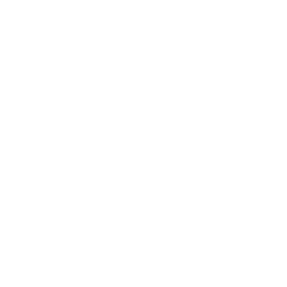 Премьер-Лига logo