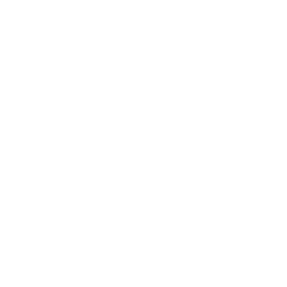 Премьер-лига logo