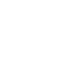 Второй дивизион logo