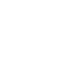 1-й дивизион logo