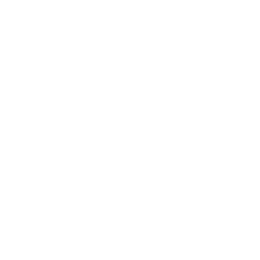 НПЛ Квинсленд до 20 logo