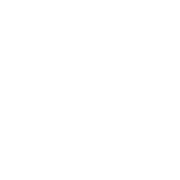 Премьер-лига logo
