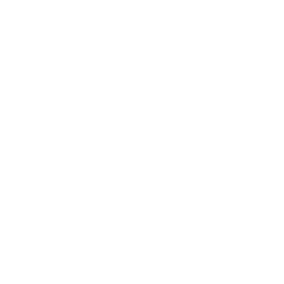 Лига Гаушу logo
