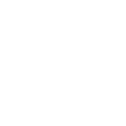 II Lyga logo