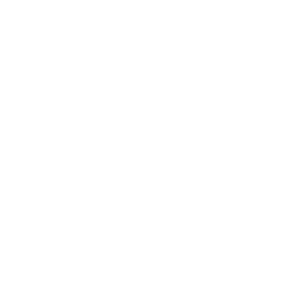 Высшая лига logo