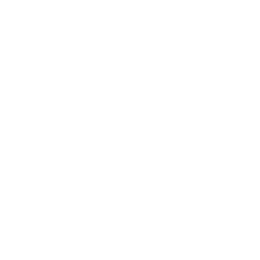 Датская Серия logo