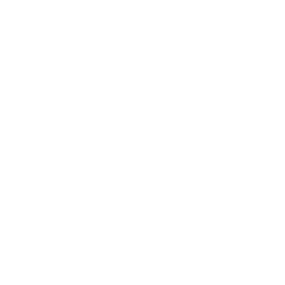 1.A DRL logo