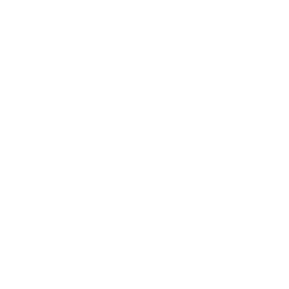 Северная Премьер-лига. 1-й дивизион logo