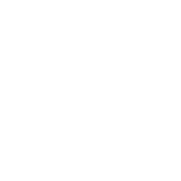 Национальный чемпионат III logo