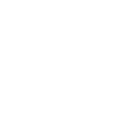 Copa Santa Catarina logo