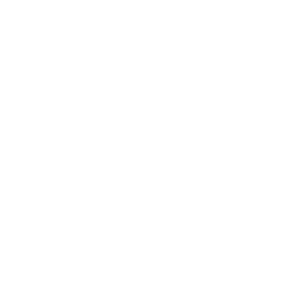 Puchar logo