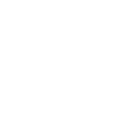 Лига звёзд logo