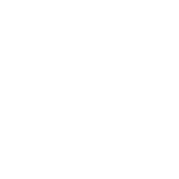 Лига Чемпионов АФК 2 logo
