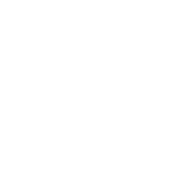 Super Rugby logo