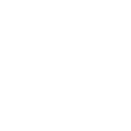 Liga 1 logo