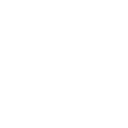 Примера Дивизион logo