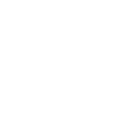 Премьершип logo
