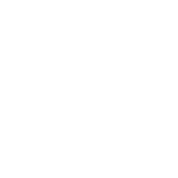 Liga Nacional logo