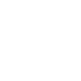 Partido amistoso logo