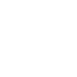 Cup Libertadores logo