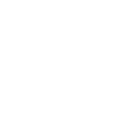 Чемпионат Мира logo