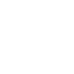 Примера Дивизион logo