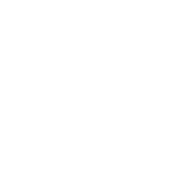 KNVB Κύπελλο logo