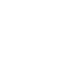 Liga majstrov CAF logo